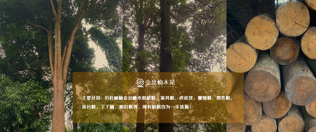 金丝楠木苑-jsnmy.com 金丝楠木苑-jsnmy.com