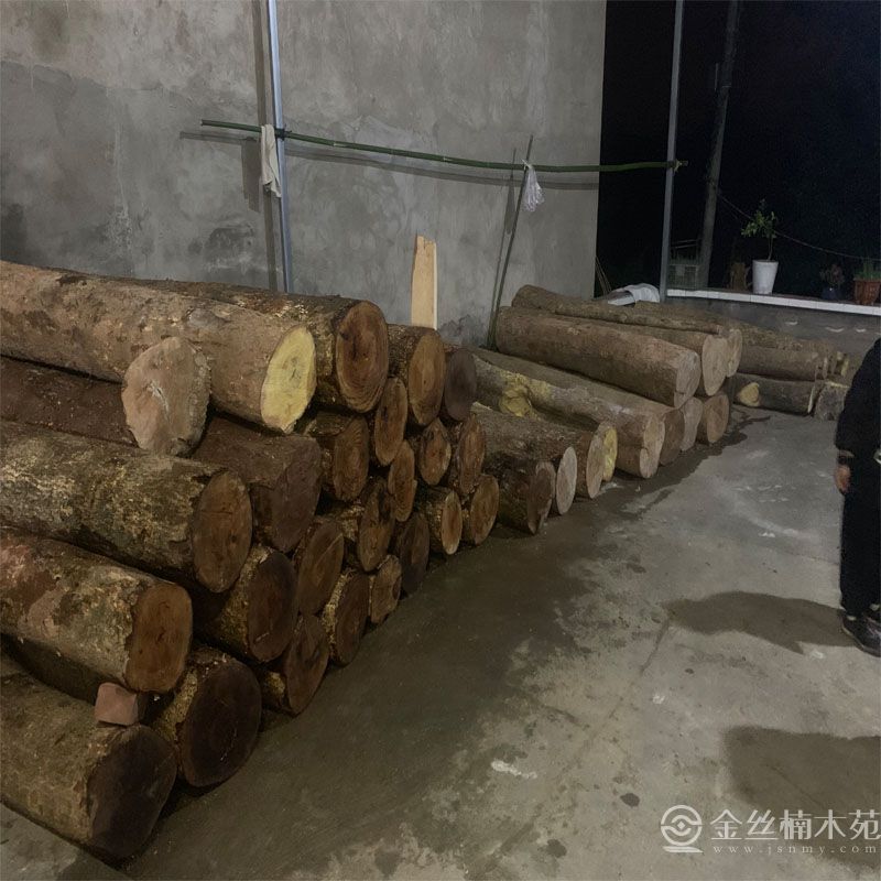 四川金丝楠木堆料场地一(图1)