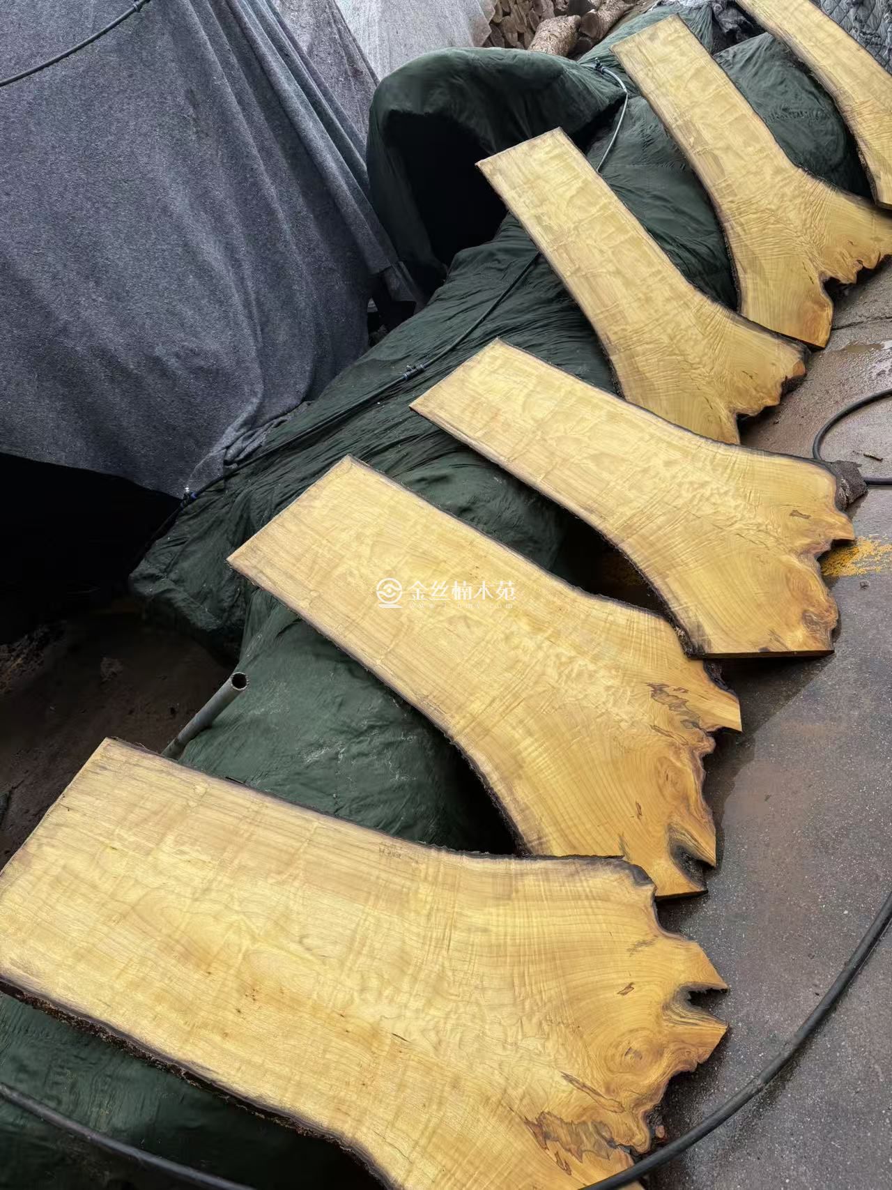 精品满花水波闪电纹理。小叶金丝楠木板材(图1)