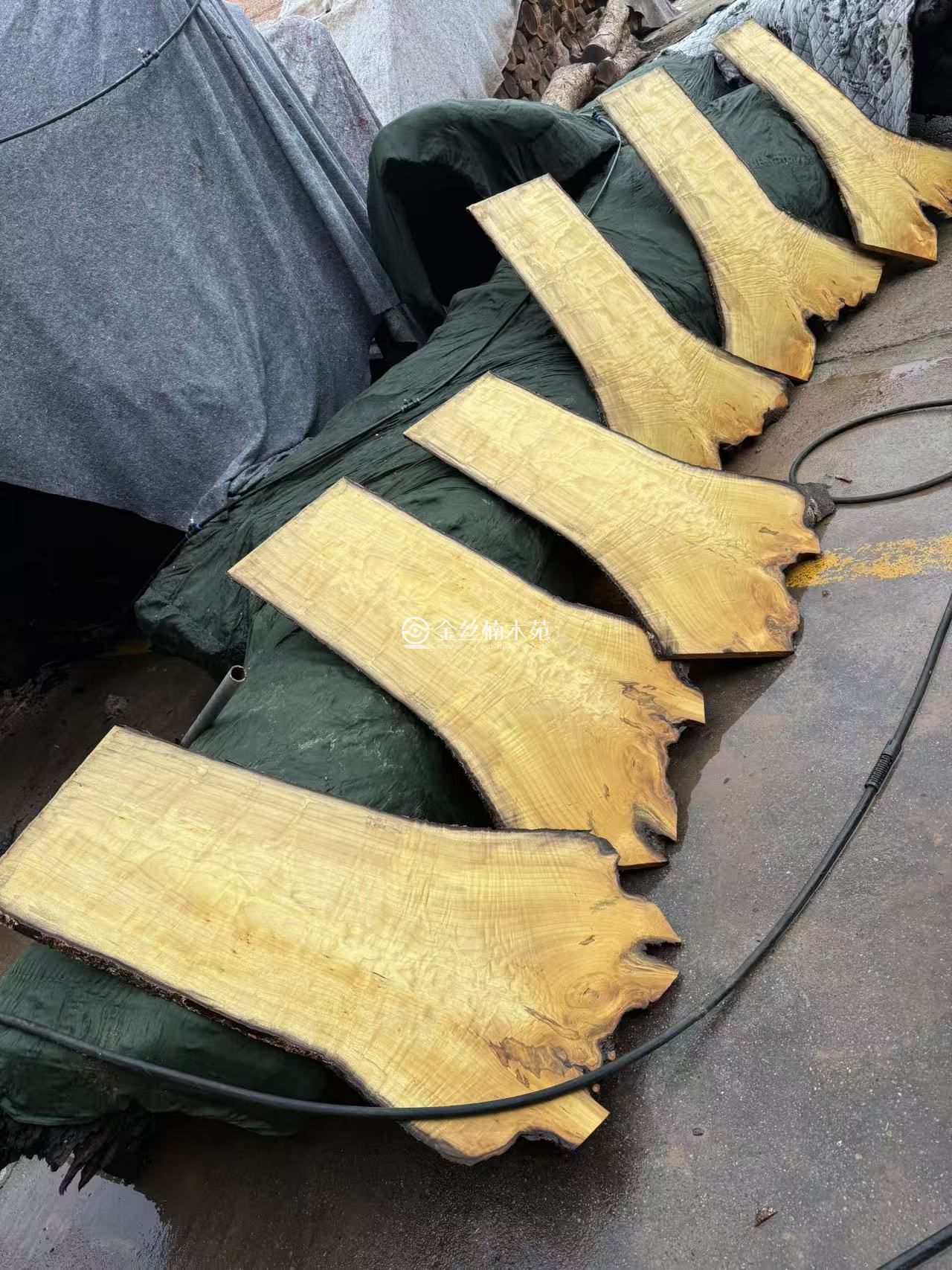 精品满花水波闪电纹理。小叶金丝楠木板材(图3)